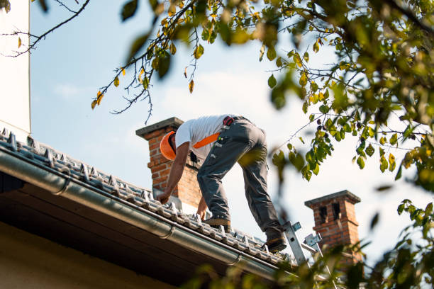 Professional Roofing Contractor in Shepherd, TX