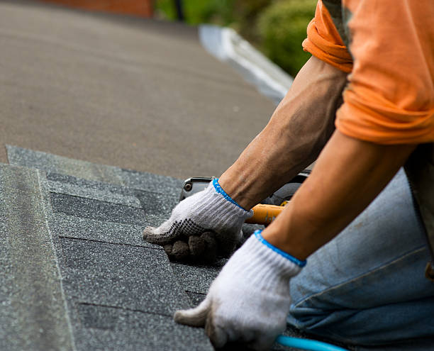 Best Roof Gutter Cleaning  in Shepherd, TX