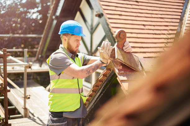 Professional Roofing Contractor in Shepherd, TX